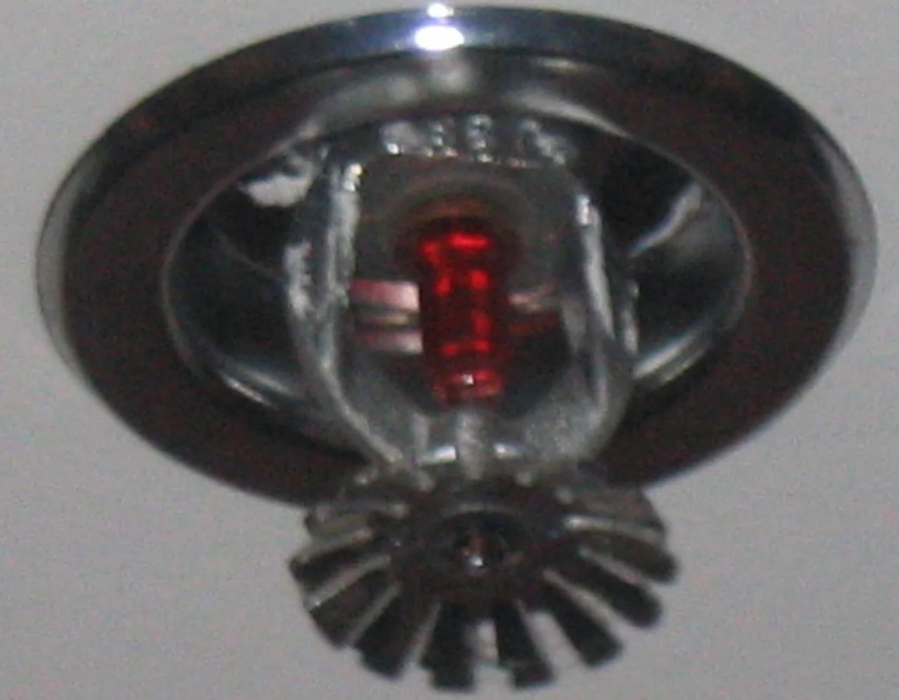 Fire Sprinkler Discharge Water Removal in Elgin, AZ