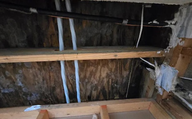 Attic Water Removal in Green Valley, AZ