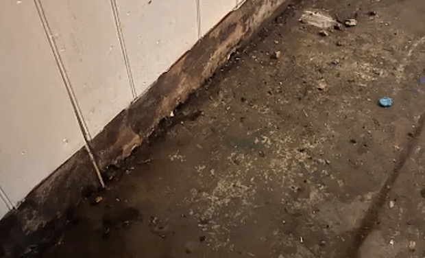 Black Water Extraction (Category 3) in Hereford, AZ
