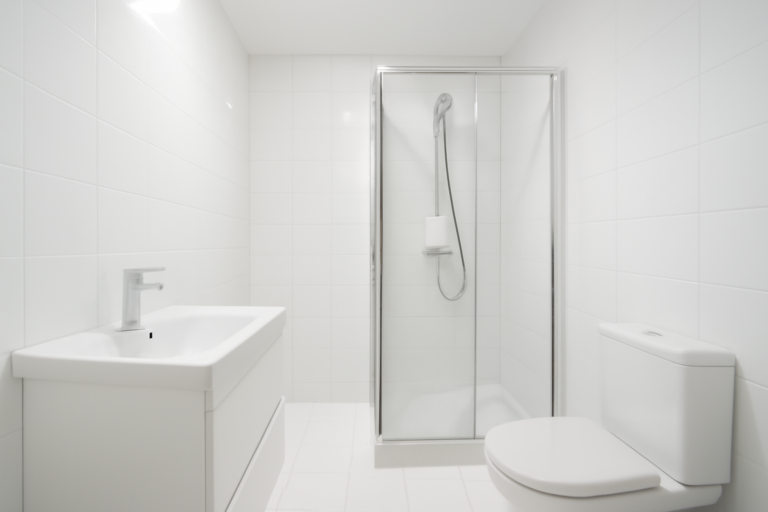 Mold remediation service